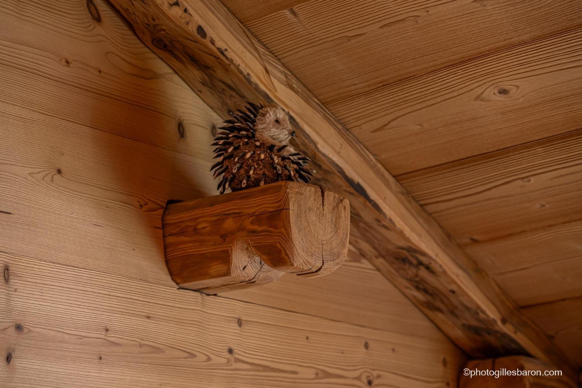 Chalet la Forestière Orcières Extérieur photo